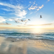 Recognizing and Coping With PTSD Triggers