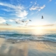 Recognizing and Coping With PTSD Triggers