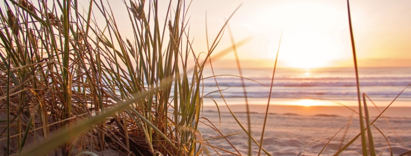 Should I Incorporate Holistic Health Into My Daily Regimen?