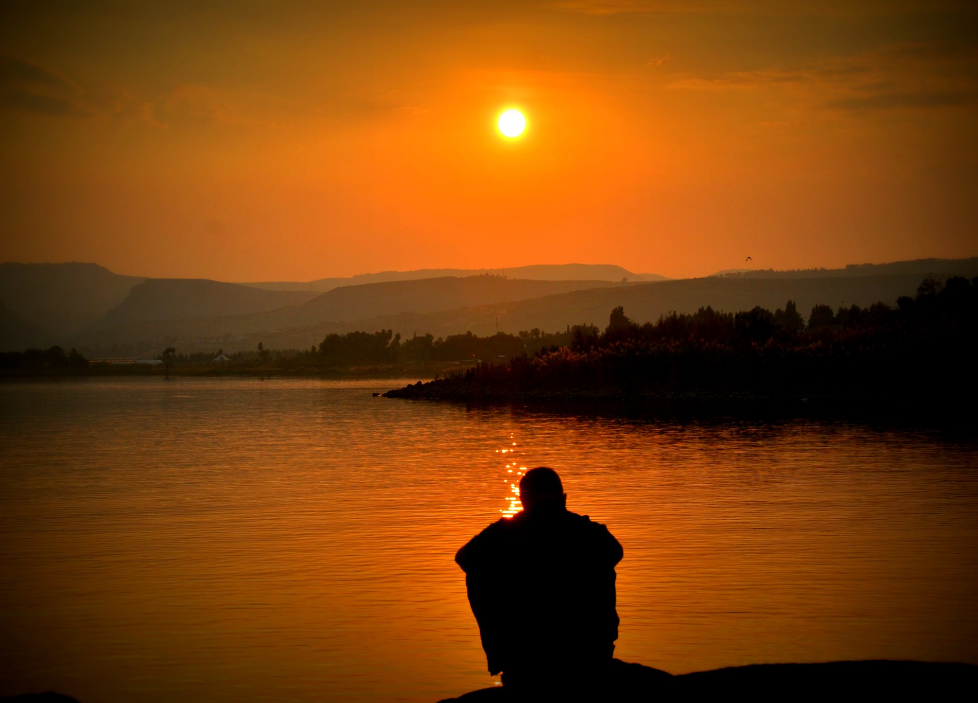 The Difference Between Depression And Major Depressive Disorder