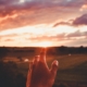 What Are the Signs of Narcissistic Personality Disorder?